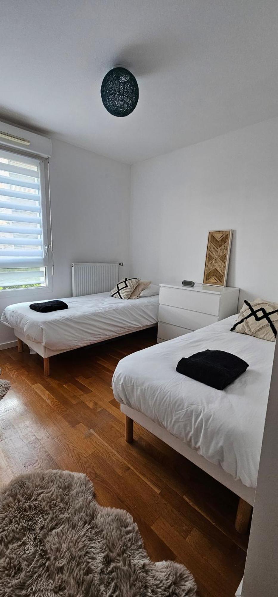 Le Cocon De Soie Superbe T3 A Vaulx En Velin Appartement Buitenkant foto